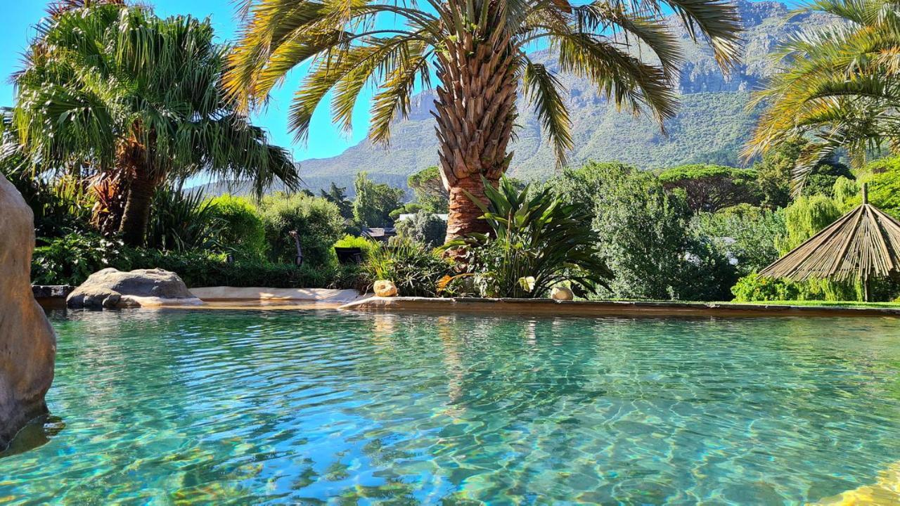 Thulani River Alojamento de Turismo Selvagem Hout Bay